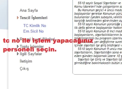 3.webp